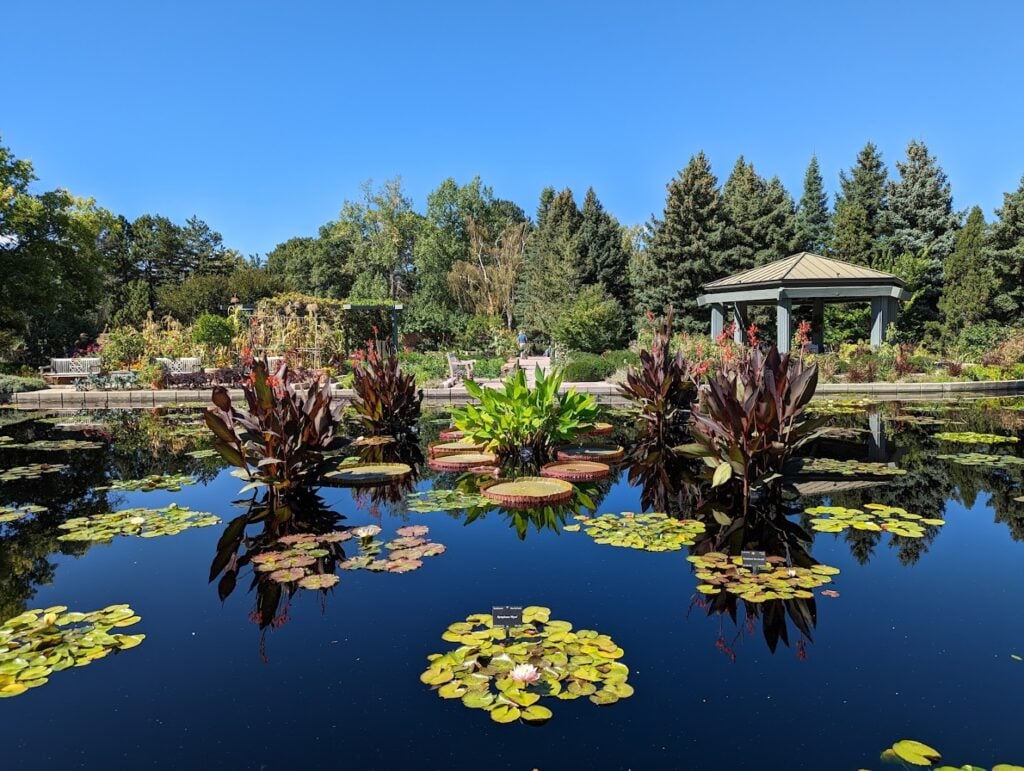 Sunset Yoga at Denver Botanic Gardens 2