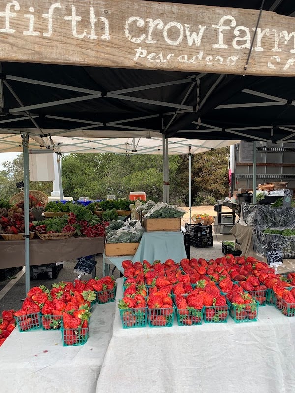 College of San Mateo Farmers' Market 1
