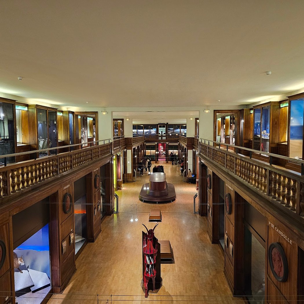 Muséum de Grenoble 3