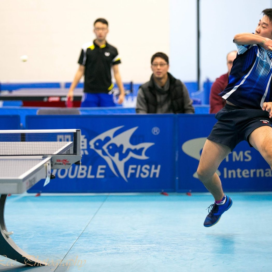 Westchester Table Tennis Center 1