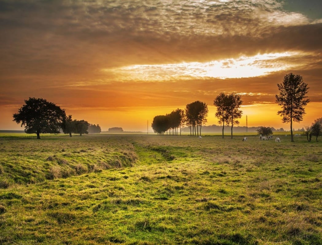 Parc naturel régional de la Haute Vallée de Chevreuse 3