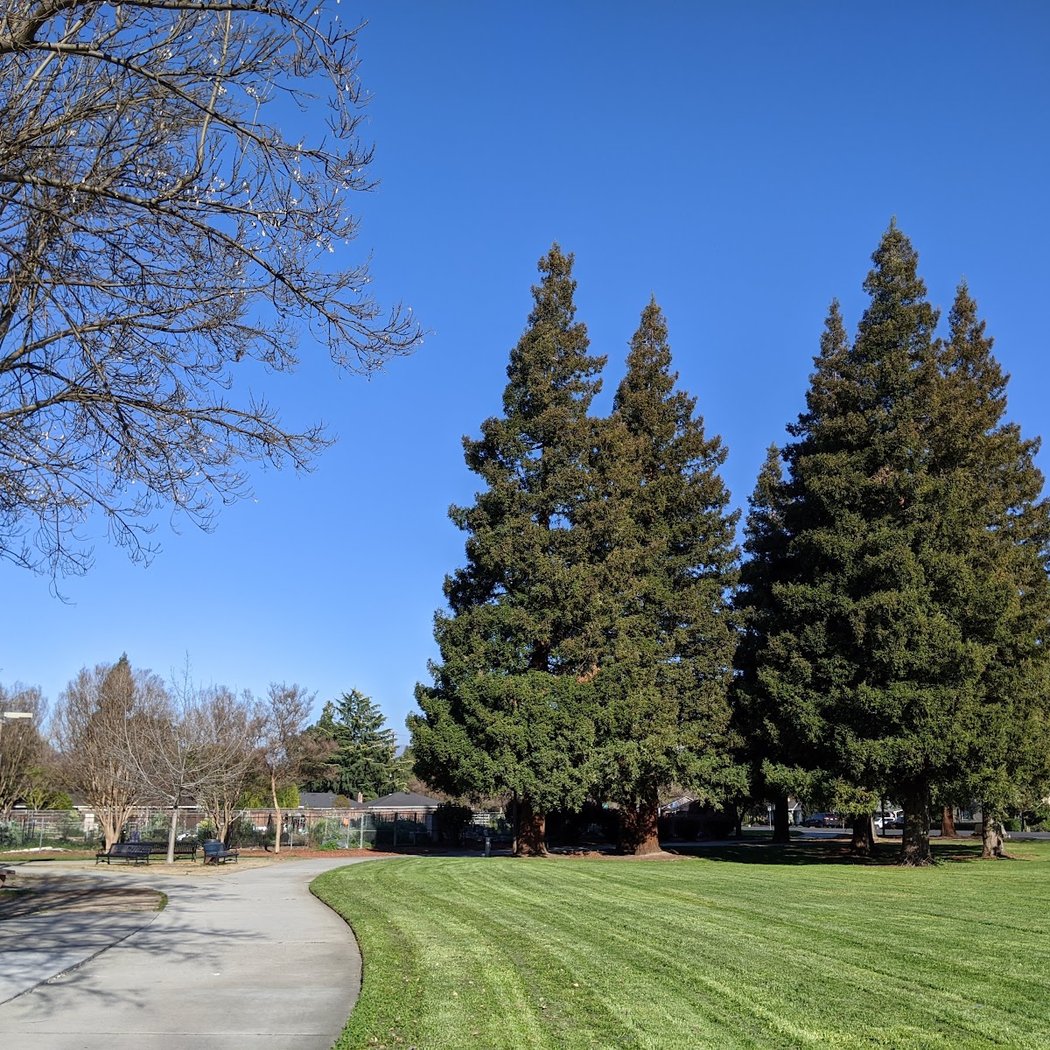 Wallenberg Park 1