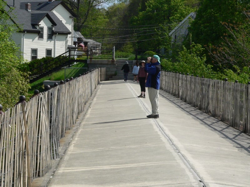 Hemlock Gorge and Echo Bridge 1