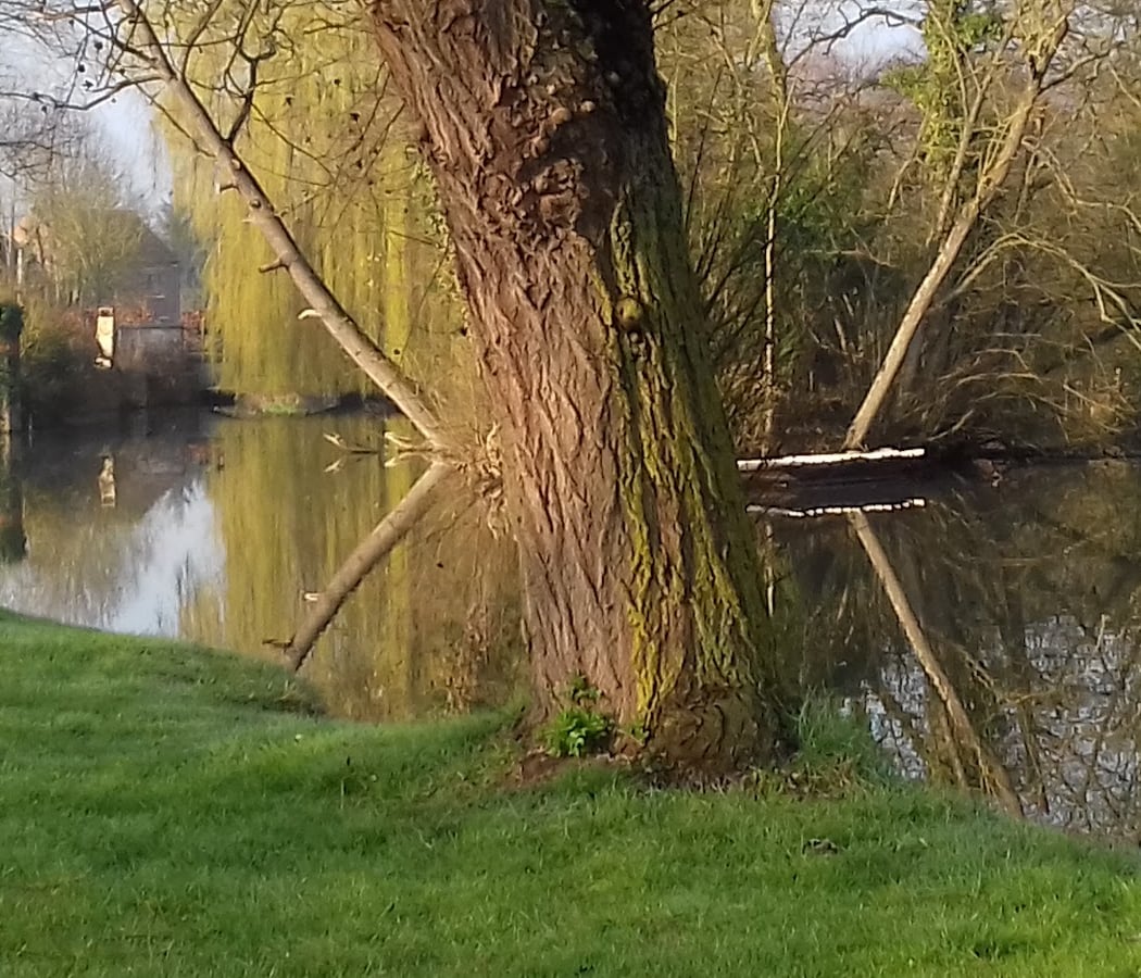 Golf Educatif Du Marais Goeulzin 3