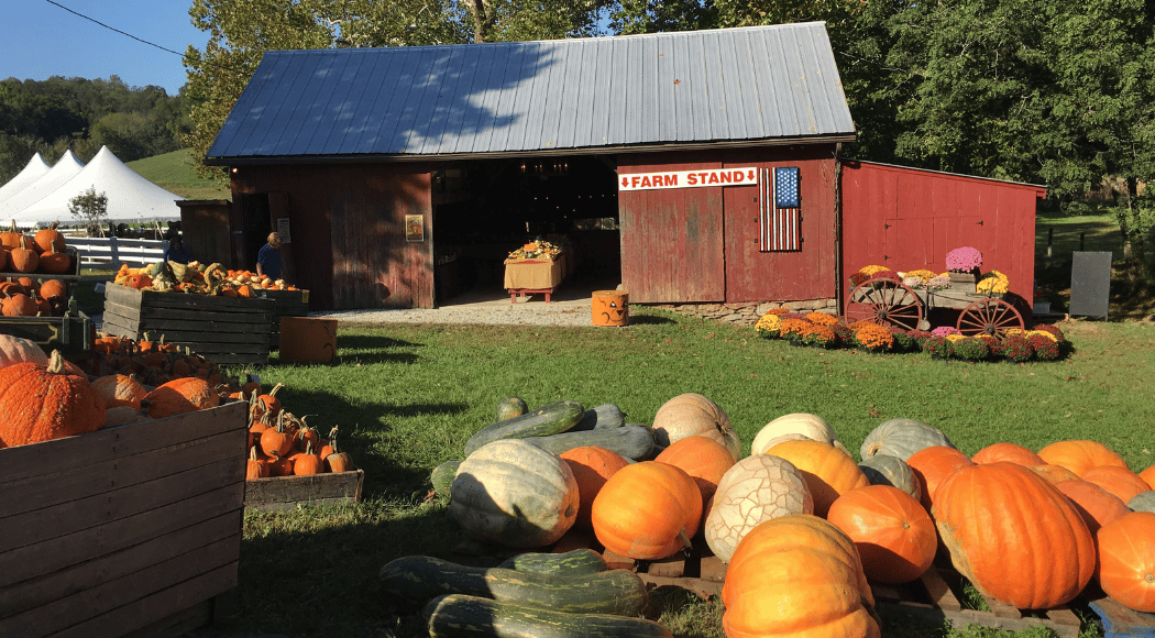 Neltner's Farm Fall Fest 2