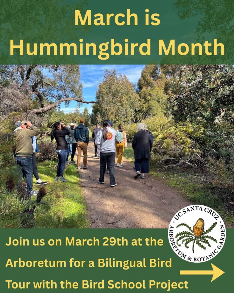 Bird Walk for Hummingbird Month 1