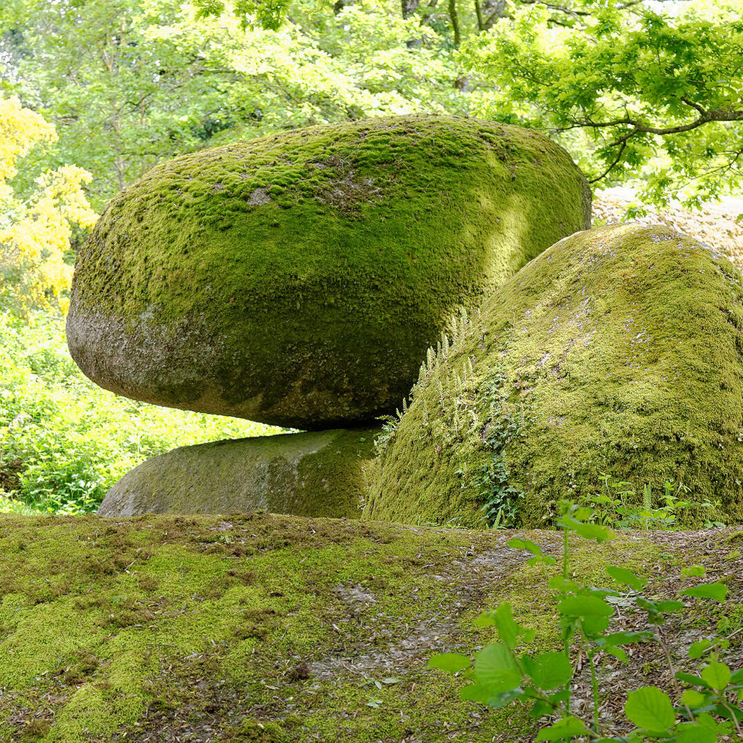 Le Rocher Branlant, le Jardin des Chirons 3