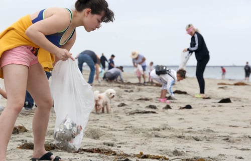 Paws & Purpose Beach Cleanup 1