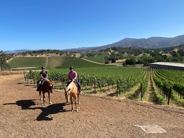 Napa Valley Trail Rides 2
