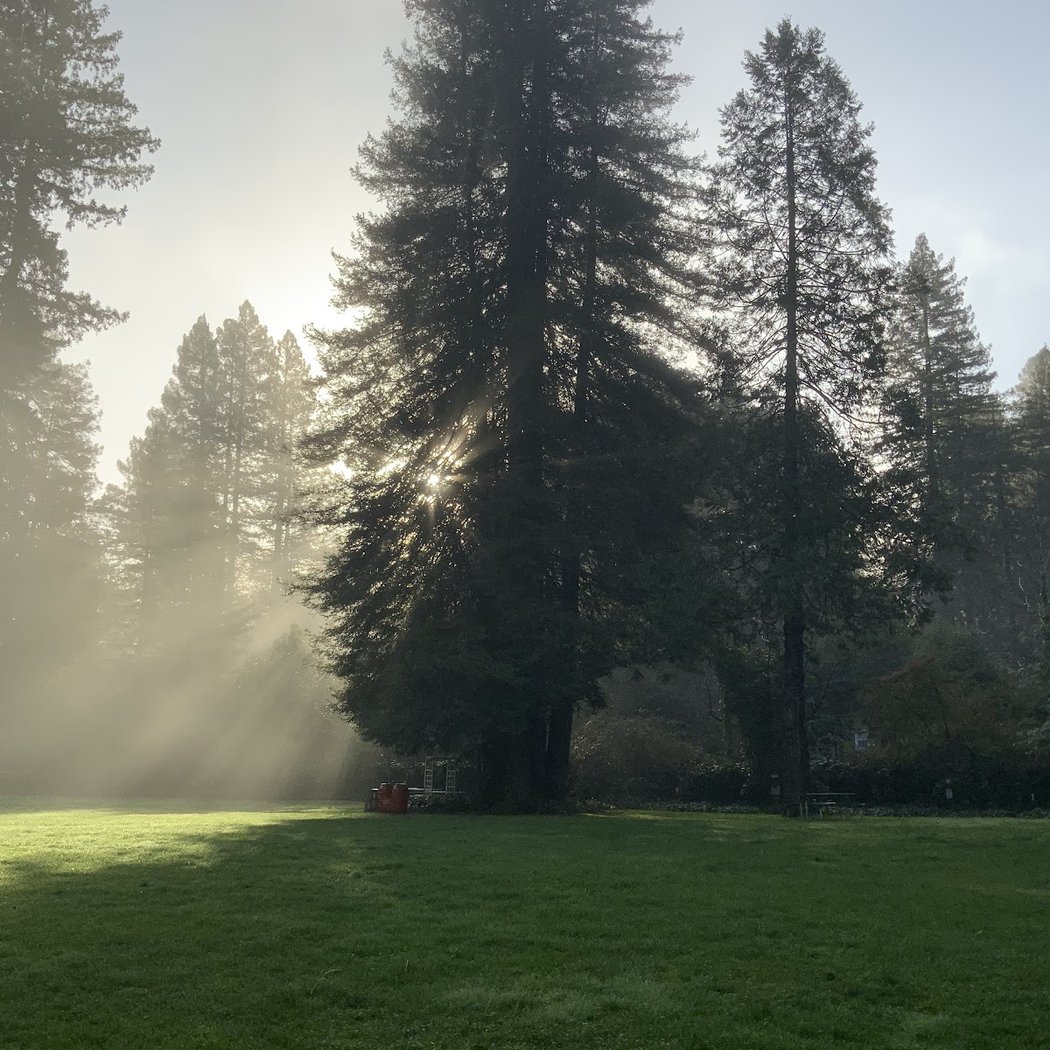 Camp Russian River 1
