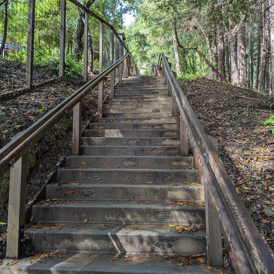 Dipsea Trail Head 3