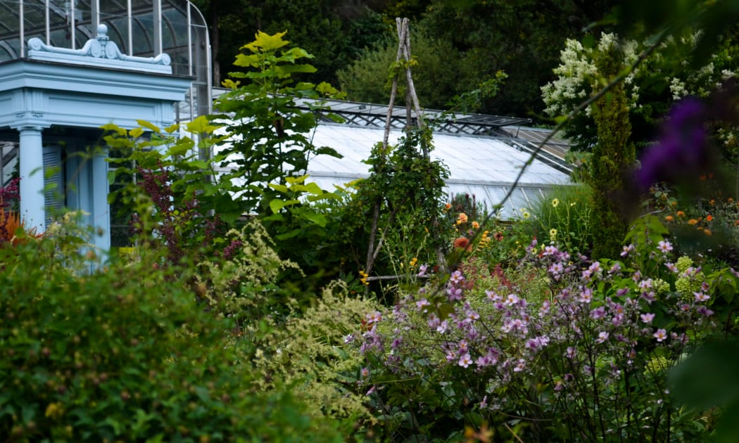Wave Hill Public Garden & Cultural Center 3