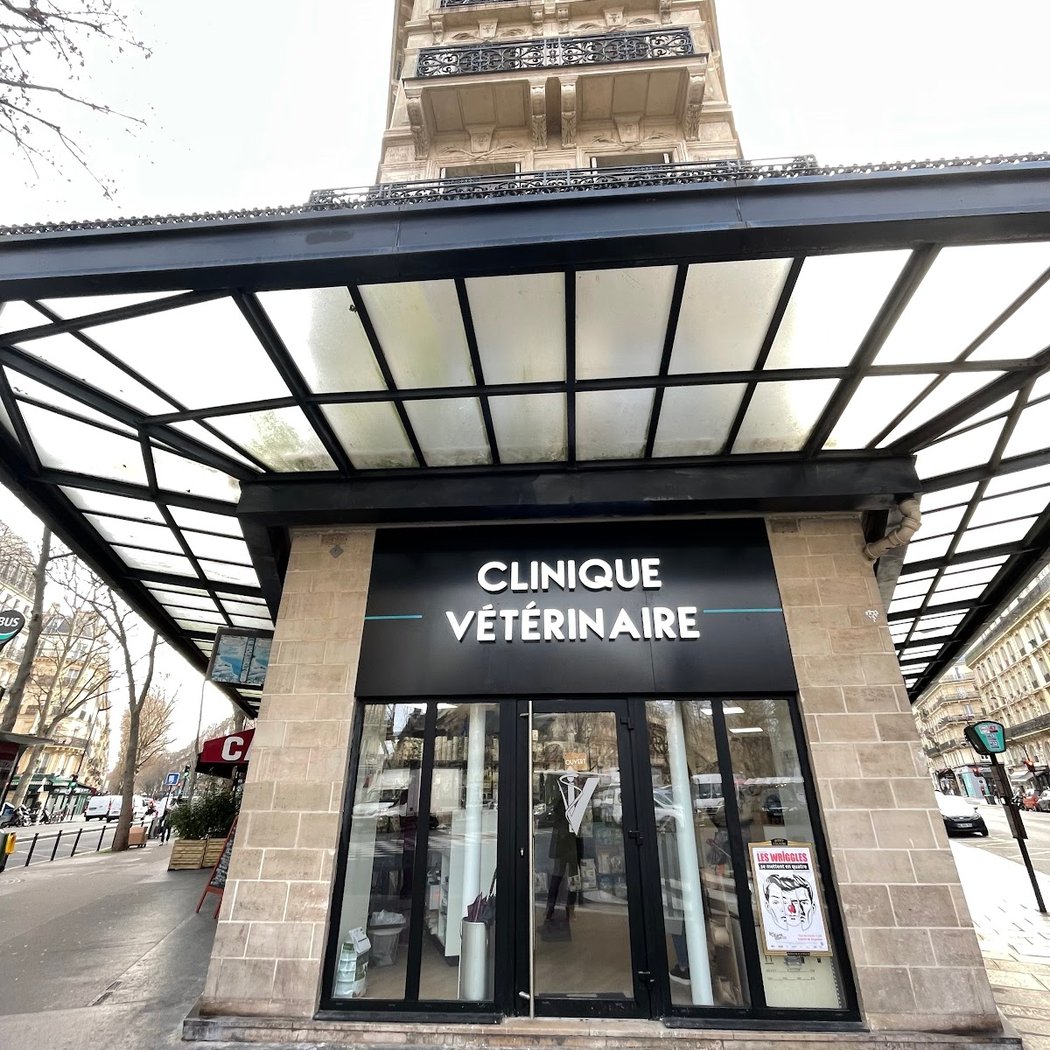 Clinique Vétérinaire Saint-Germain 3