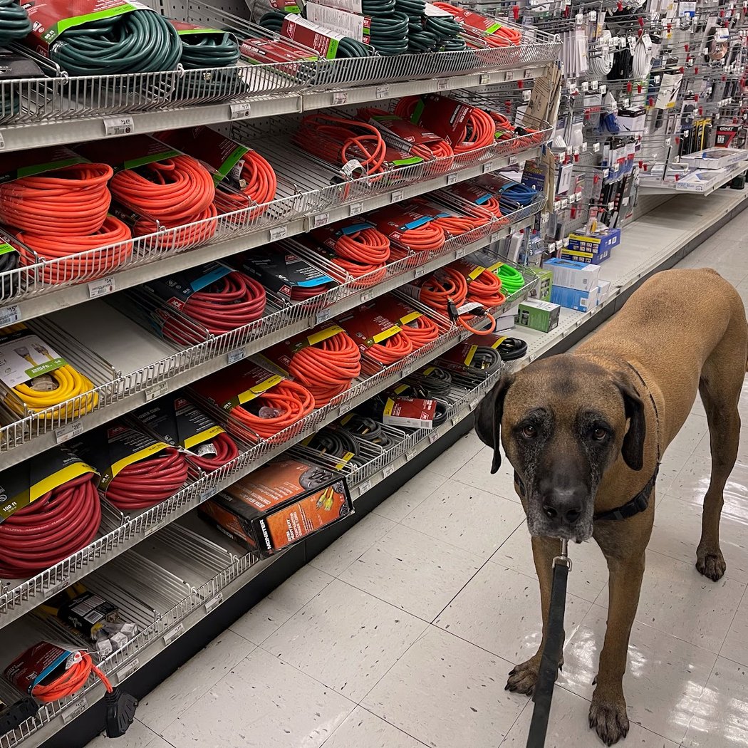 Pittsburg Ace Hardware 1