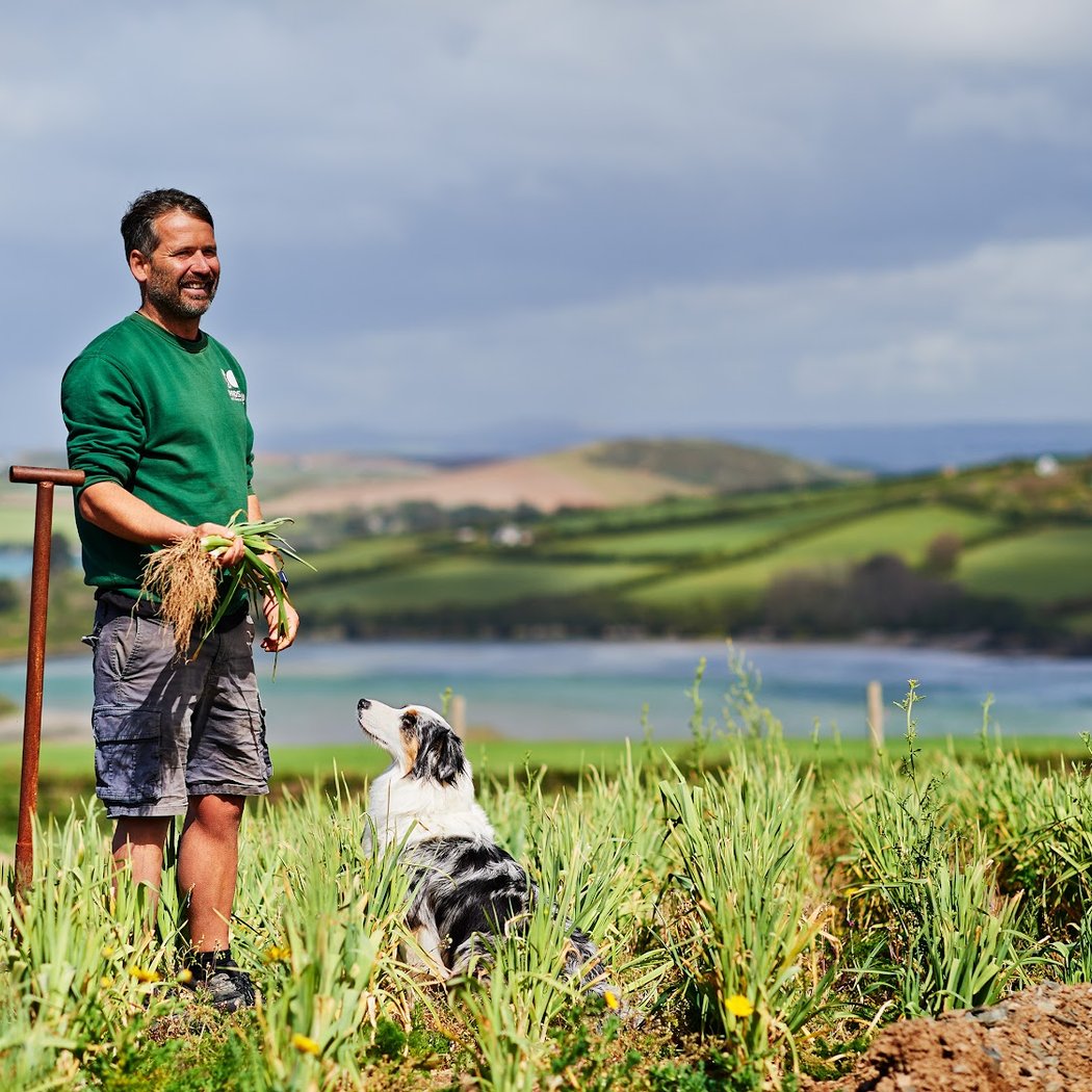 Padstow Kitchen Garden 3