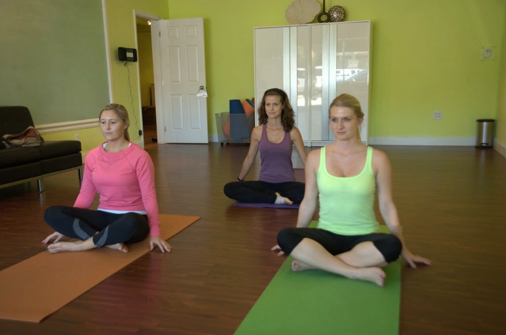 Yoga for the Pause 3