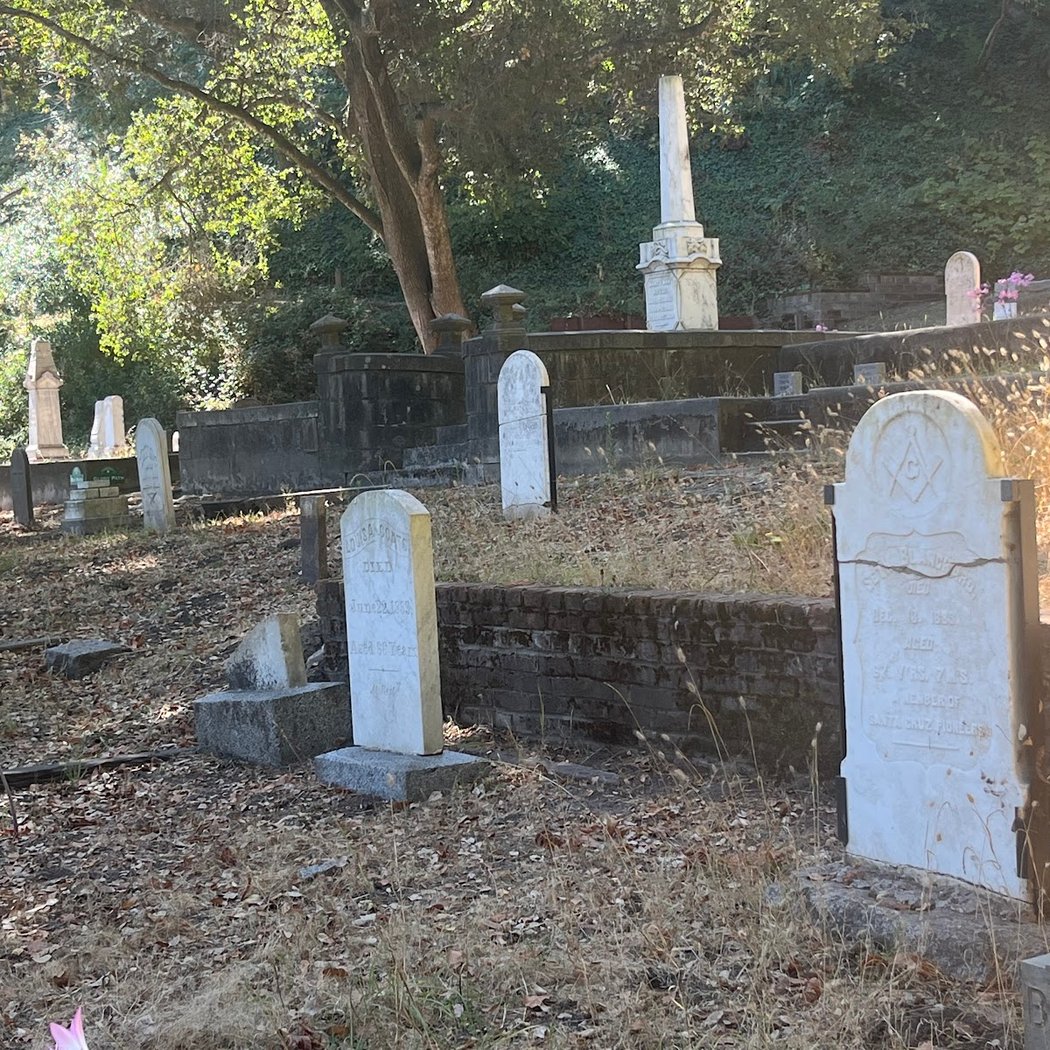 Evergreen Volunteer Days 2