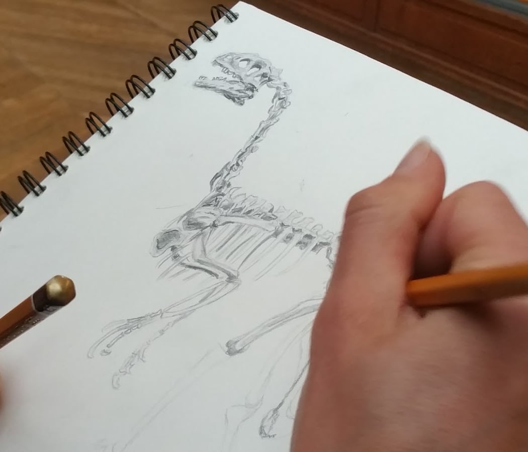 Artgraphe 1