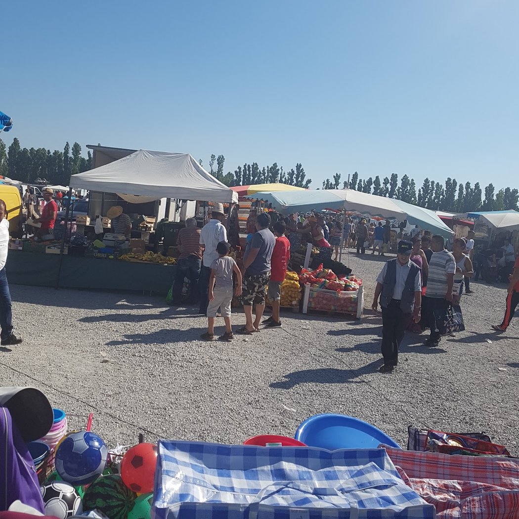 Expo Park Fos sur Mer 3