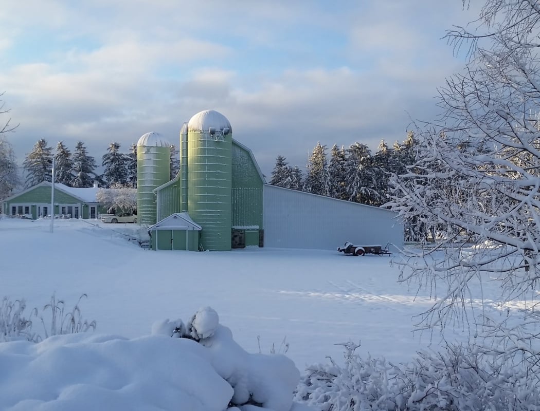 Farm Sprouts - Snow! 1