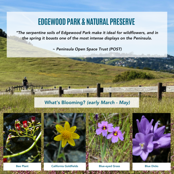Edgewood Park & Natural Preserve 1