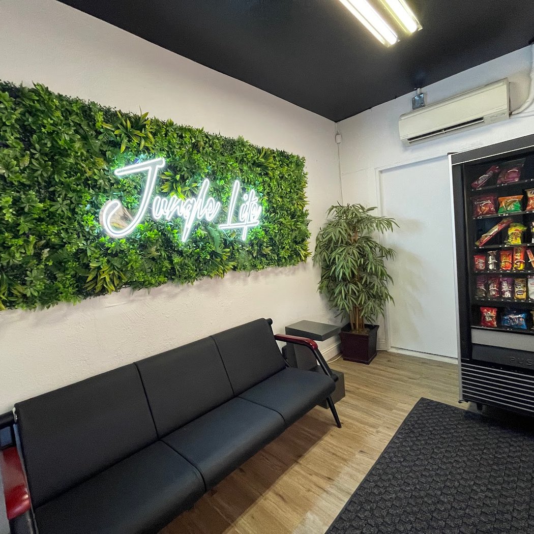 Jungle Life Studio 2