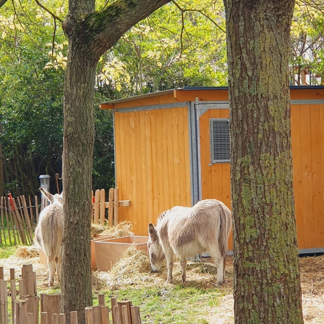 Les matins fermiers - Atelier Ferme de la Villette 2