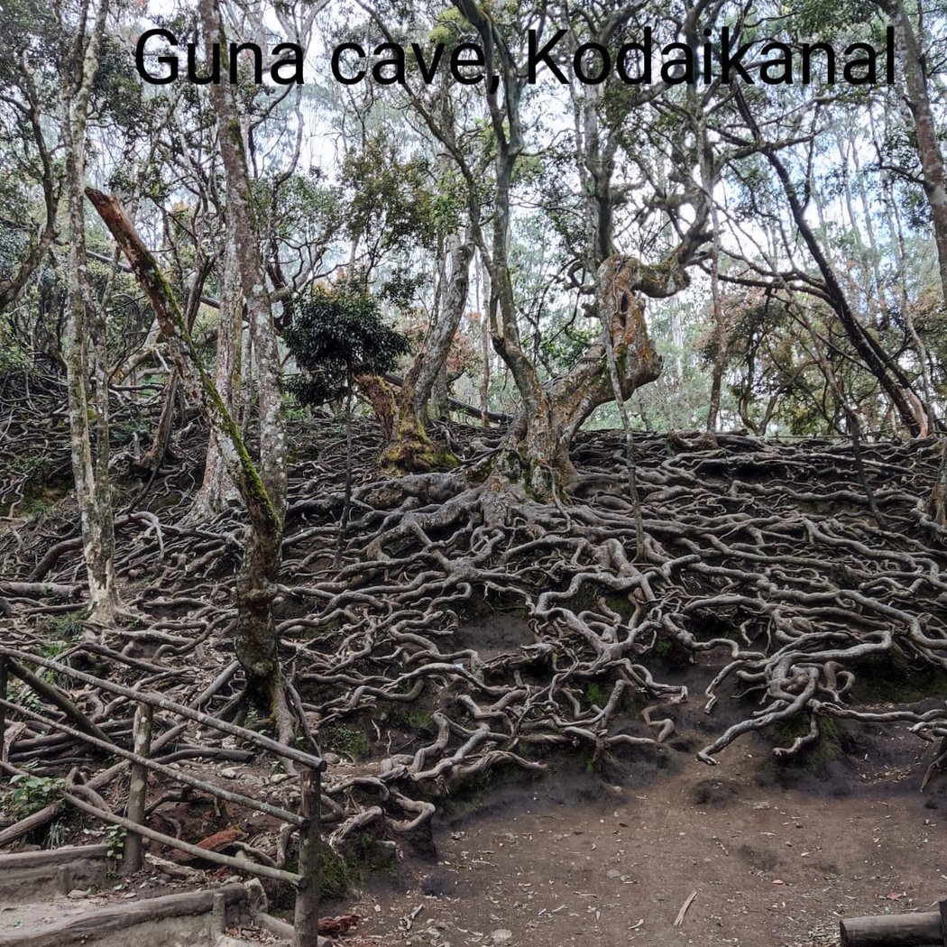 Guna Cave 2