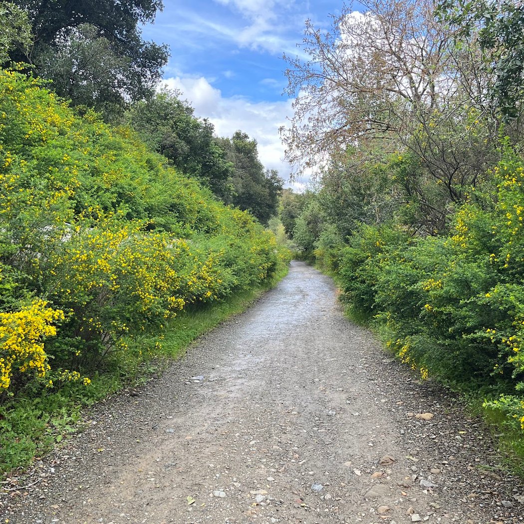 Los Gatos Creek Trail 1