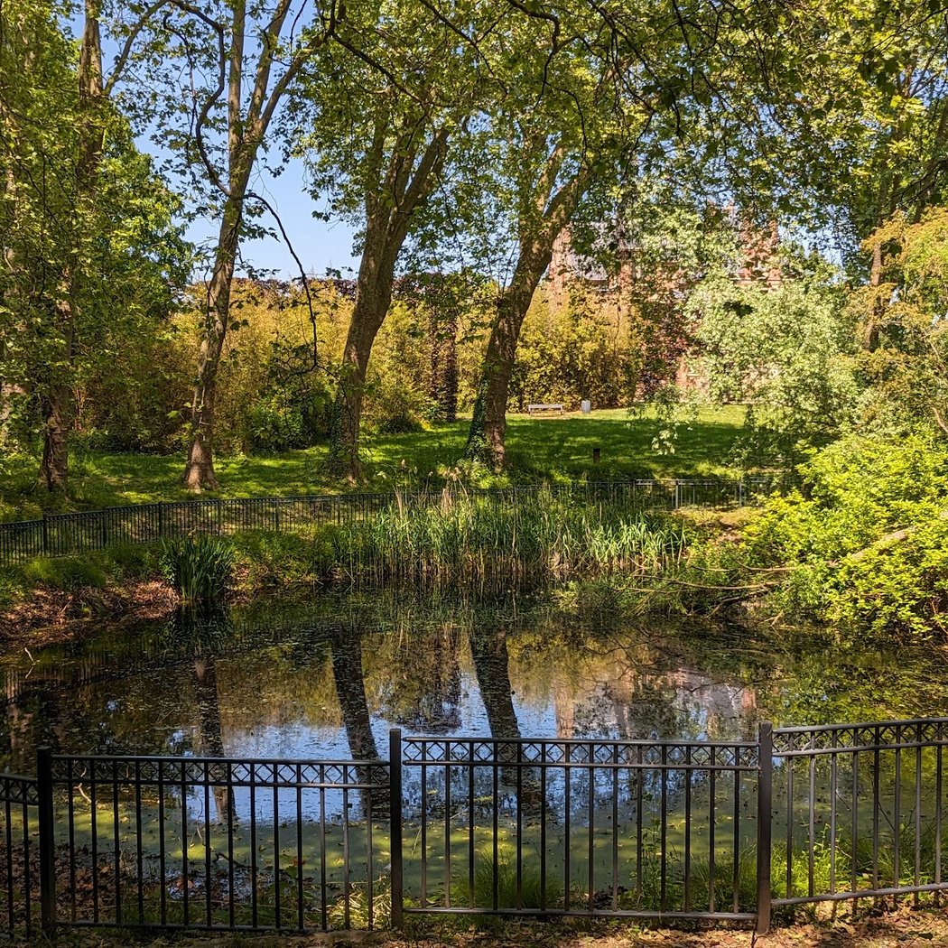 Parc de l'Oseraie 2
