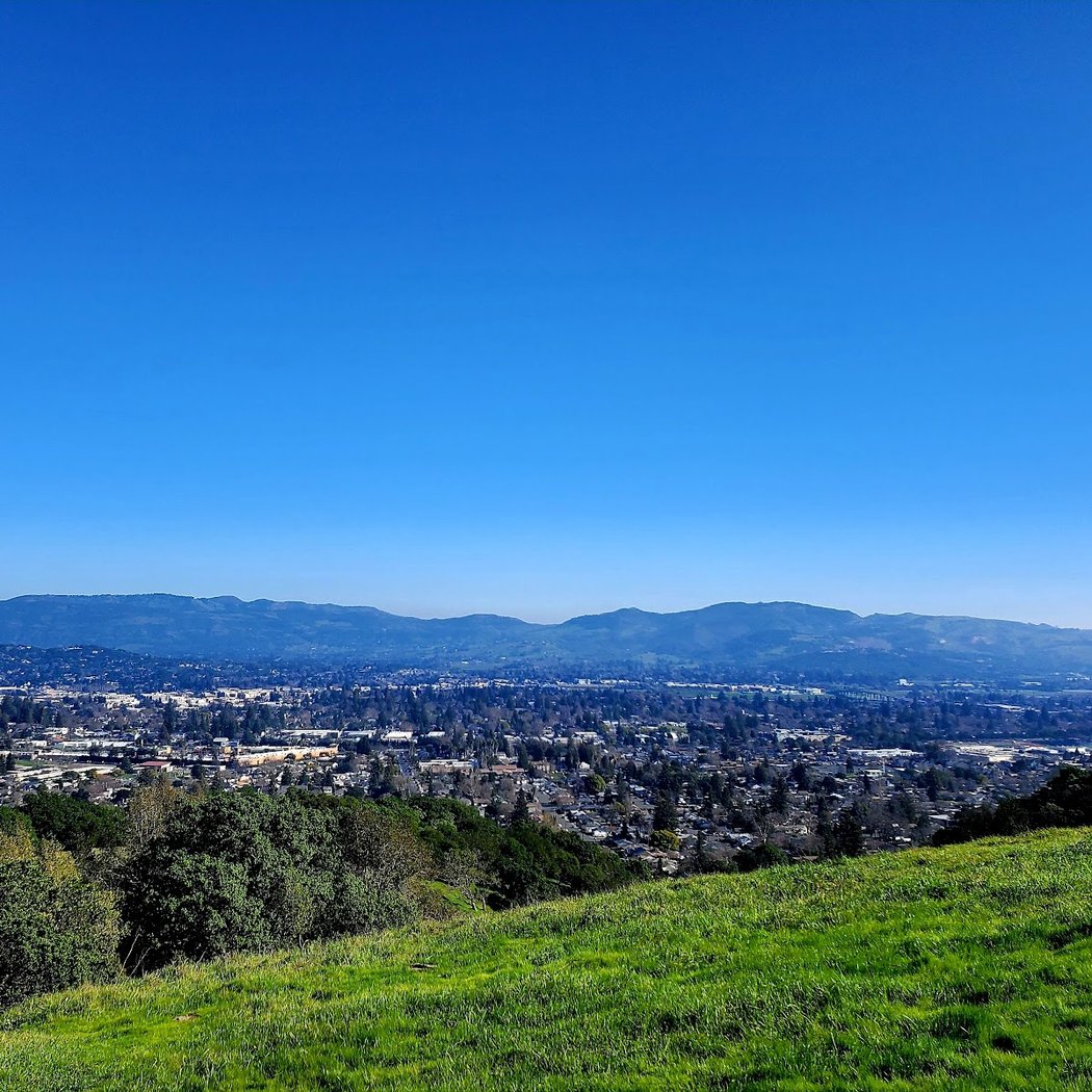 Westwood Hills Park Invasive Plant Removal Days 2