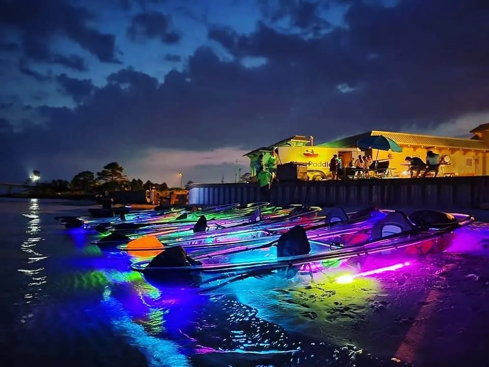 Night Time Glow Paddle 2