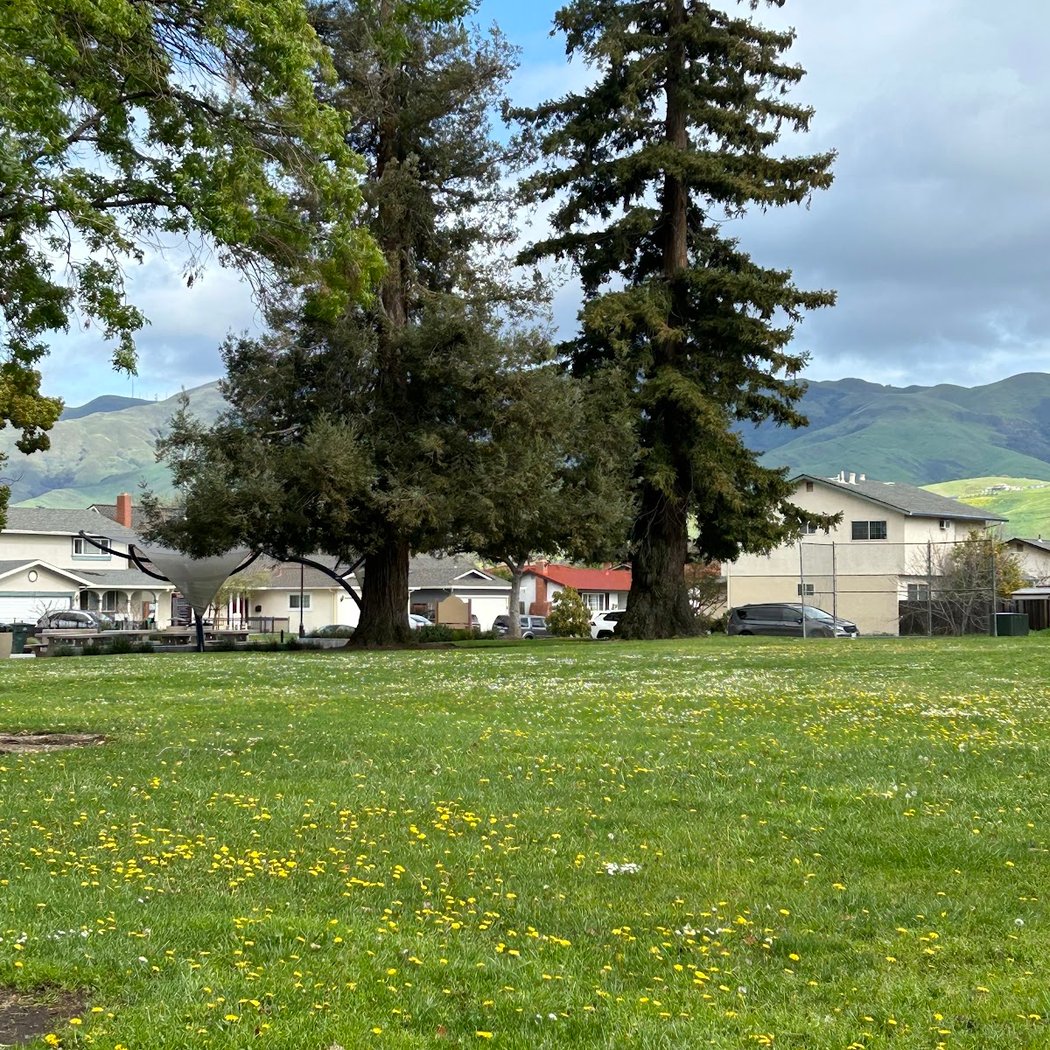 Creighton Park Playground 3