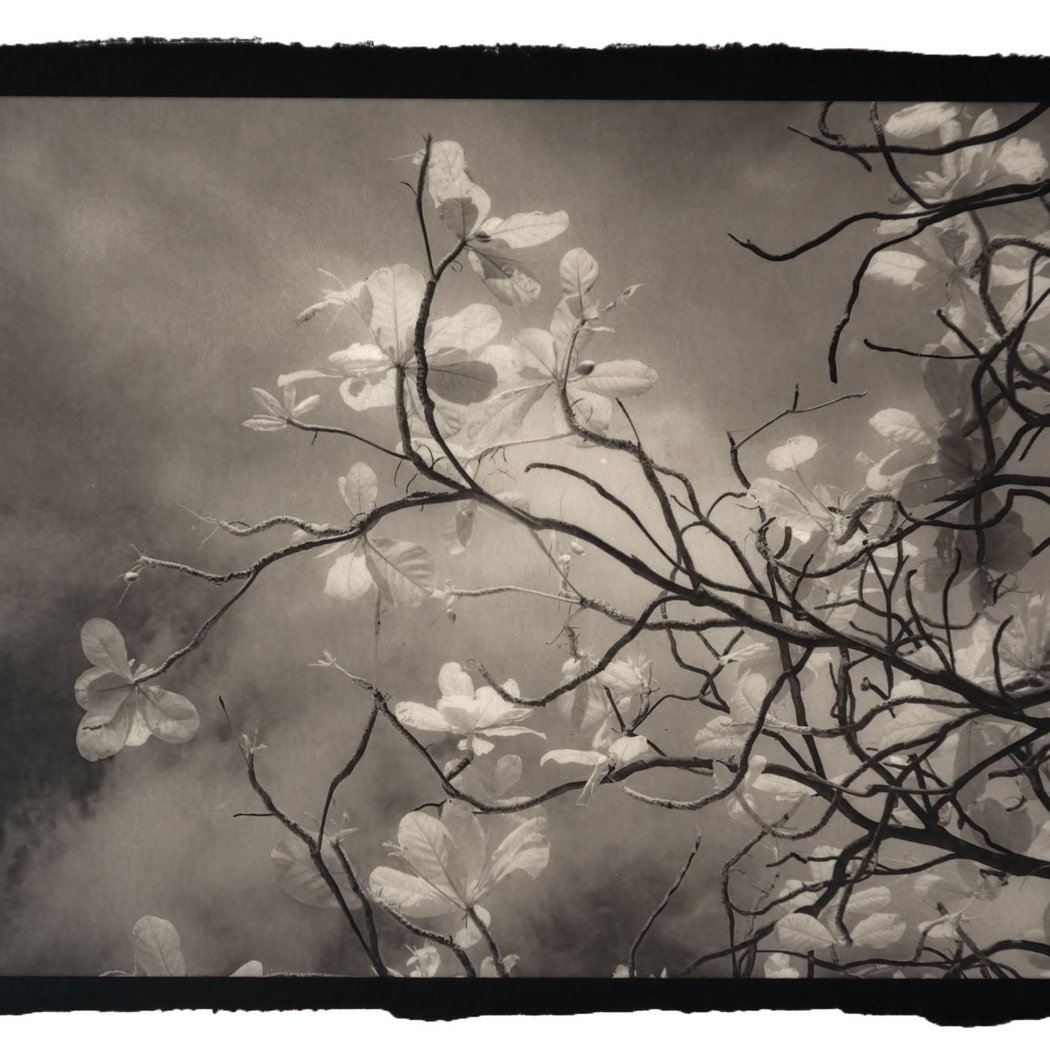 In Person Workshop: Platinum Printing with Dennis Segers: Fine Art, Mystic Craft, Superstition 1