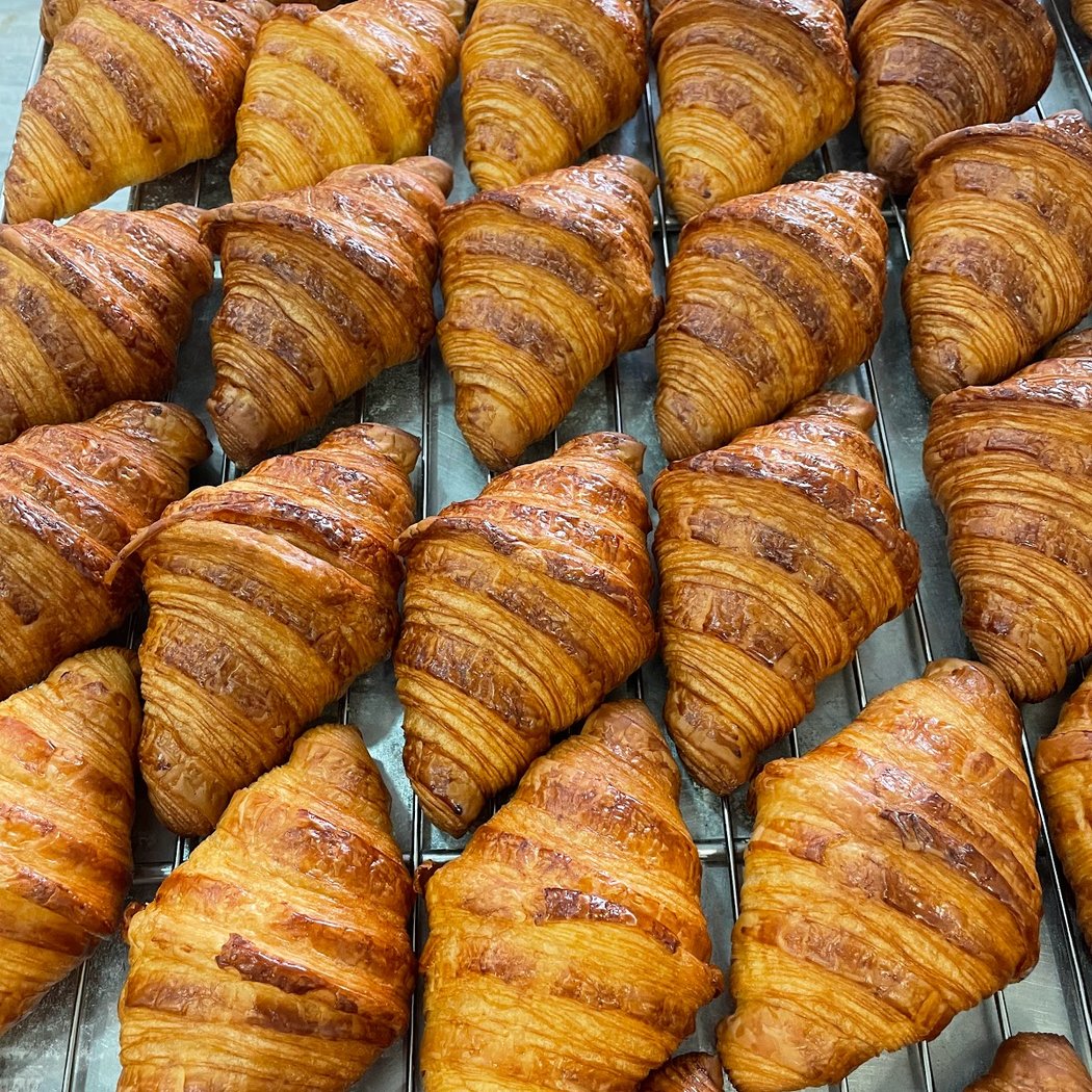 Biga Panaderia 1