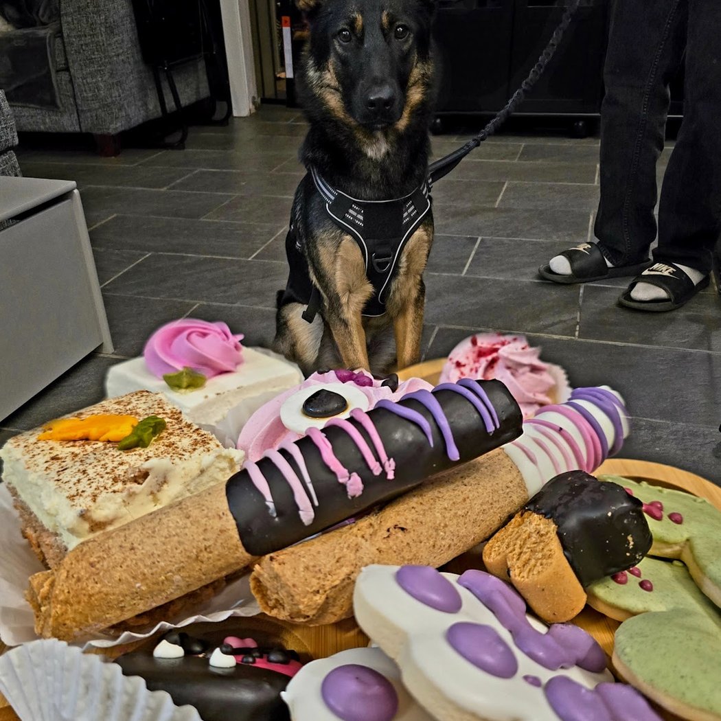 Three Dog Bakery - Riverside 1