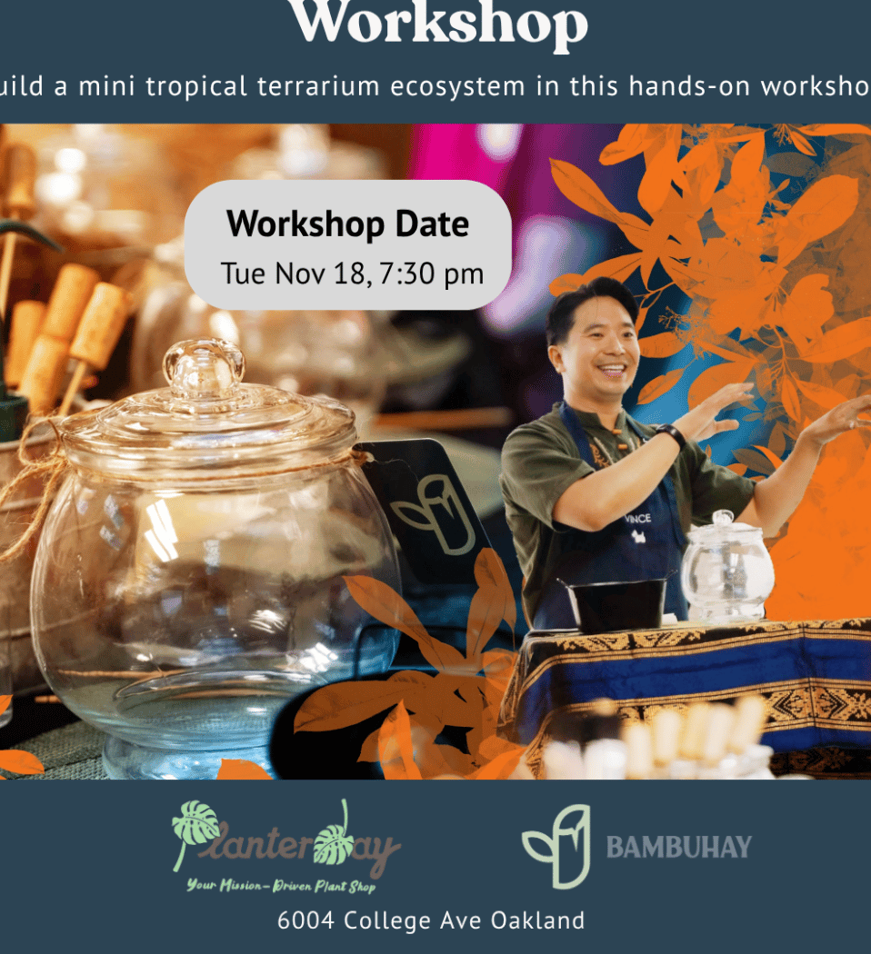 Closed Tropical Terrarium Workshop 1