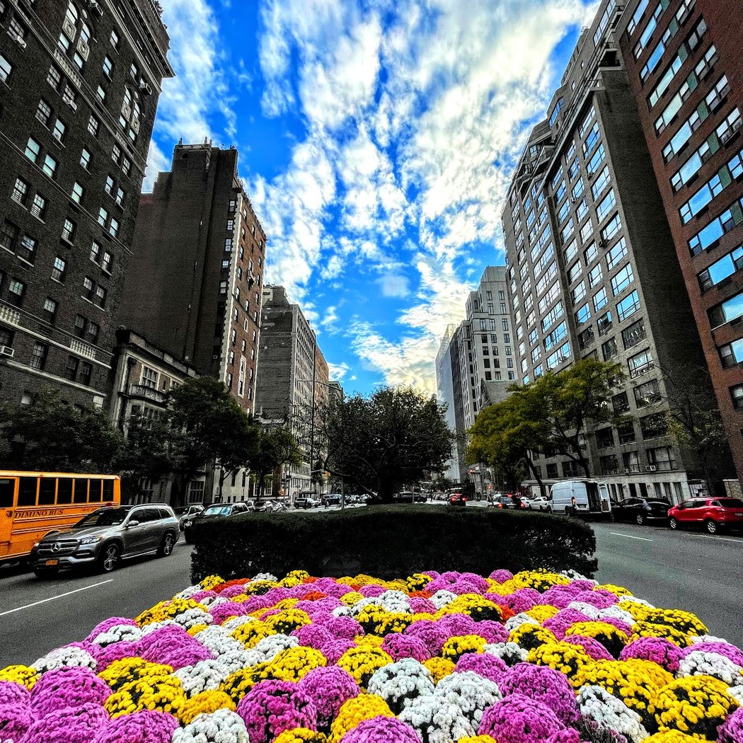 Carnegie Hill 1