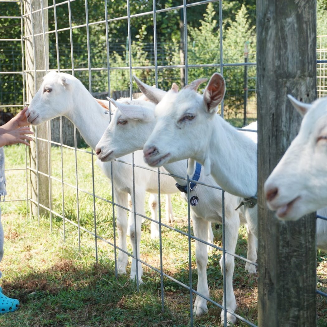 Goodale Farms 1