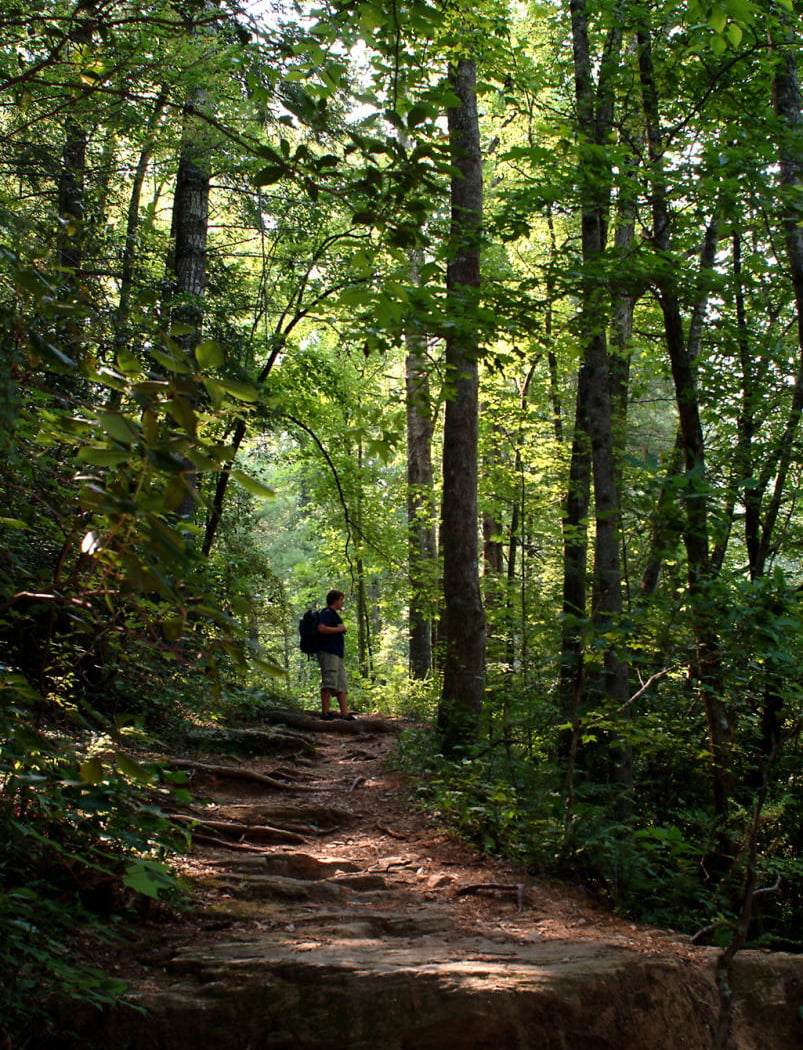 GTC Paris Mountain Trails 7K 1