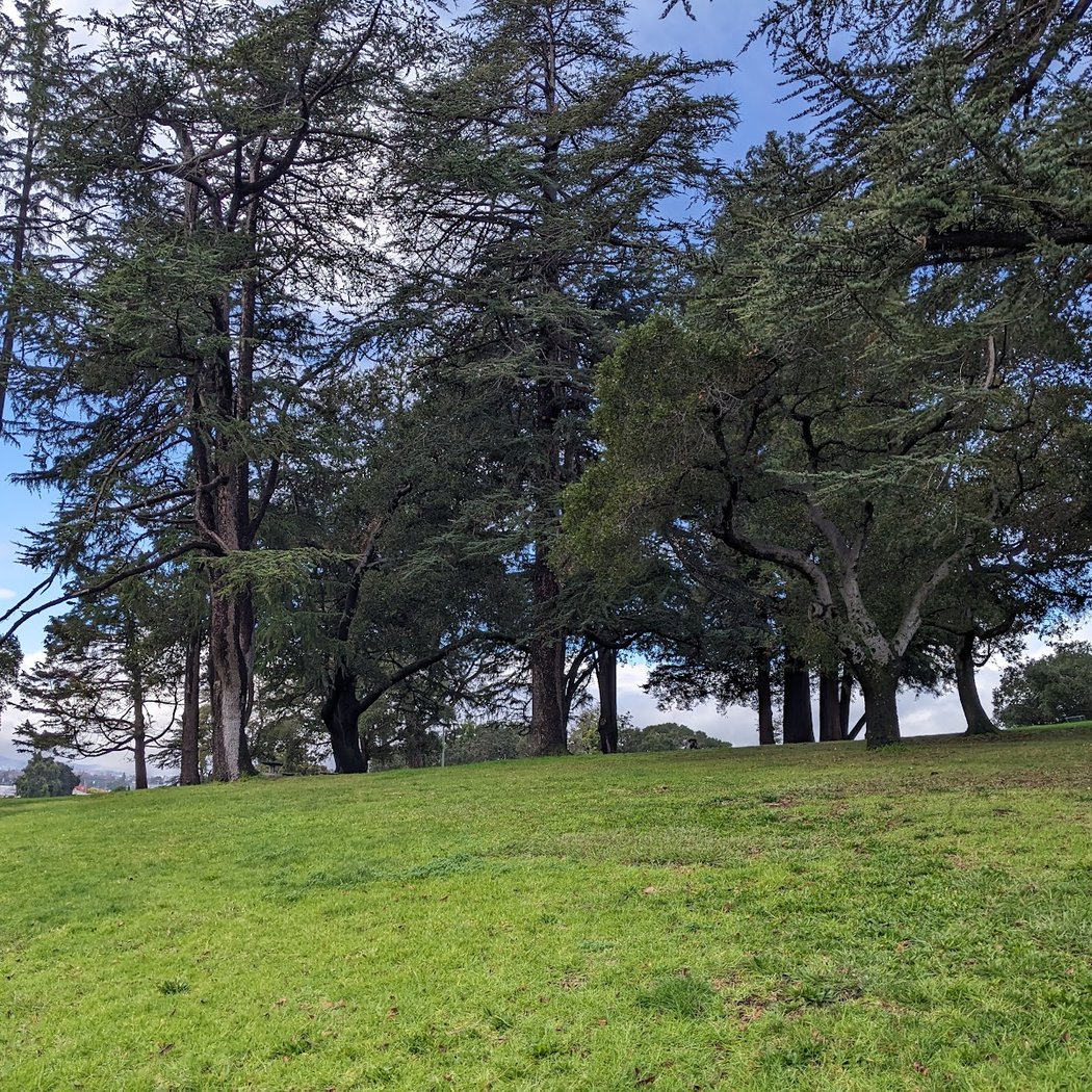 San Antonio Park 3