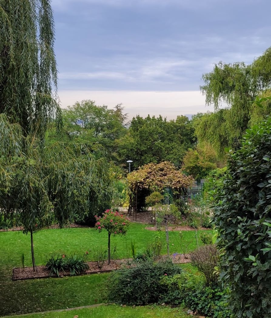 Jardin Botanique 3