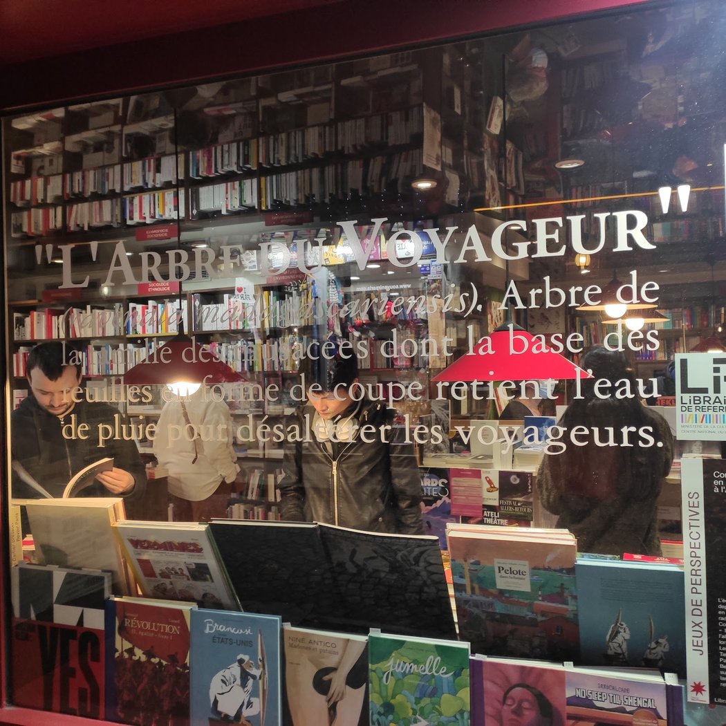 L'Arbre du Voyageur 3