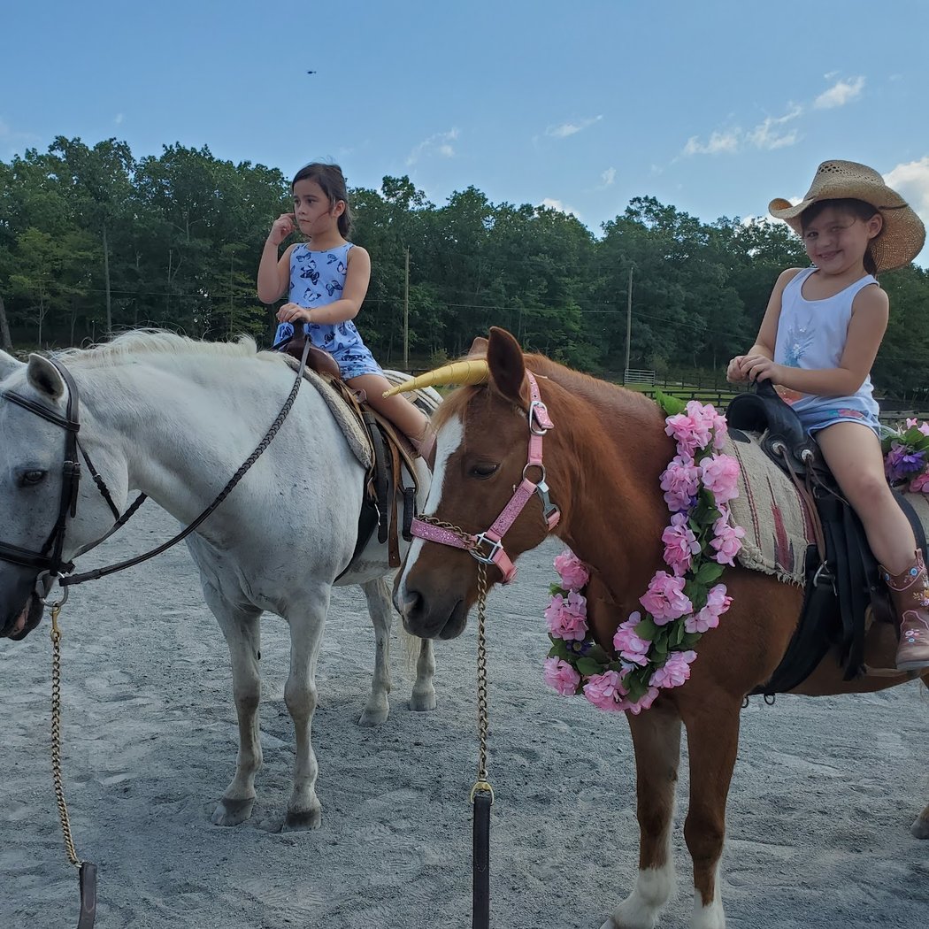 Morgan Farm Riding Lessons 1