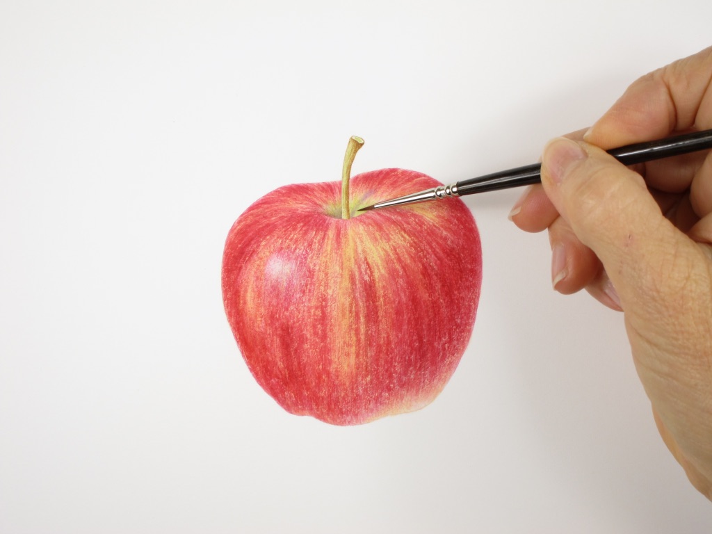 Introduction to Botanical Illustration 1
