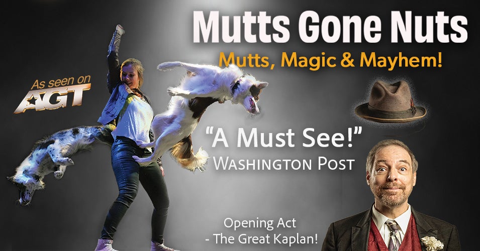 Mutts Gone Nuts: Mutts, Magic and Mayhem! 1