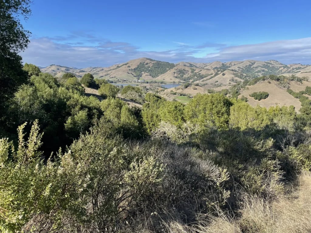 Indian Tree Open Space Preserve 2