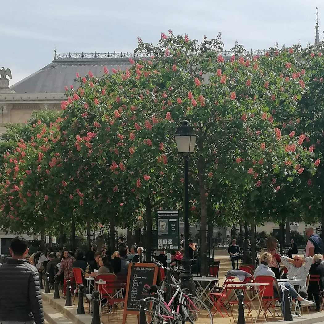 Fête de la Musique 2025 4