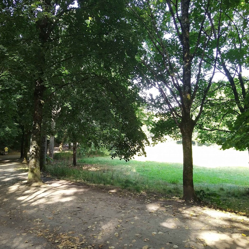 Circuit de randonnée de La Chézine 3