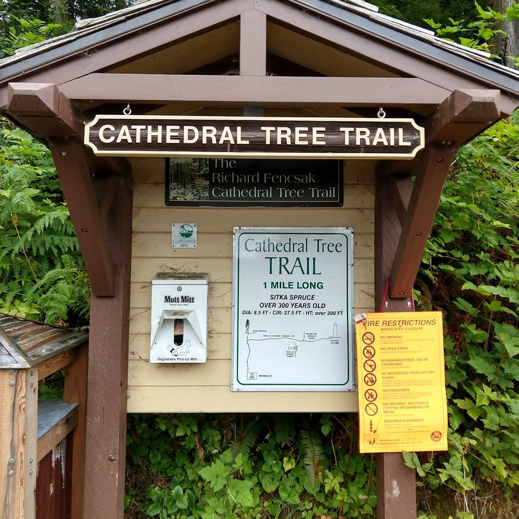 Richard Fenscak Cathedral Tree Trail Trailhead 3